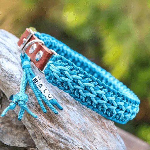 Teal woven dog collar with BALU name tag