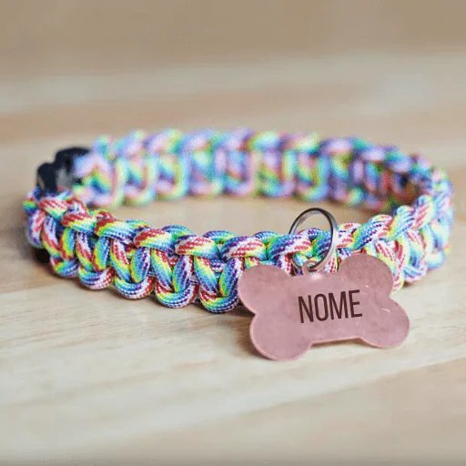 Rainbow paracord dog collar with bone tag